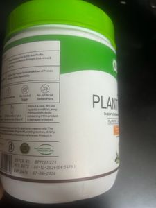 Plant Protein