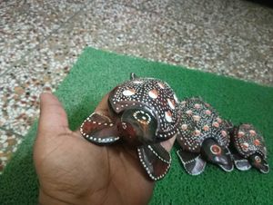 Pure Wooden Home Decor Turtle