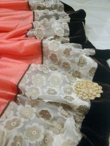 Party Saree With  Blouse