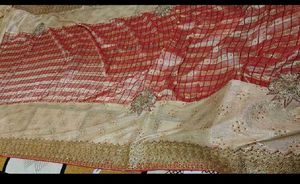 Elegant Embroidered Saree