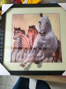 5D Horse Wall Poster