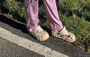 Cute Beige Clogs
