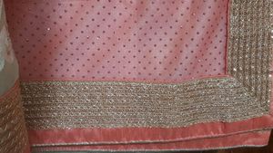 Beautiful Peachy Pink Saree with embroidery