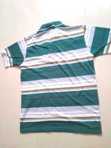 Polo tshirt For Men