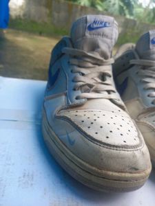 Nike Dunk SB Low Matte Silver