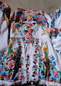 Floral Embroidered Mini Dress