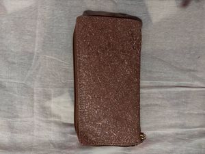Shimmery Clutch