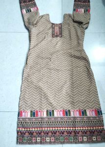 Elegant Pakistani suit