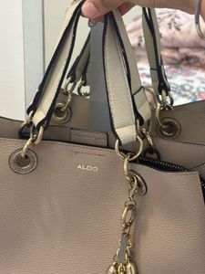 ALDO Handbag