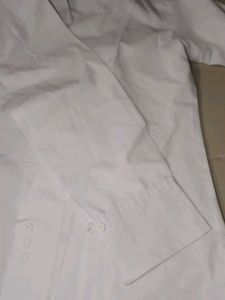 Classic White Shirt