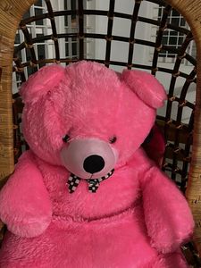 Pink Plush Teddy Bear