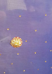 Beautiful Partywear Dupatta