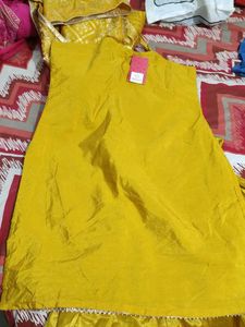 Elegant Lehenga Choli Set