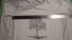 Combo Of 4 Shirt And Tshirt