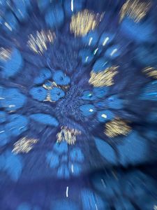 Elegant Blue Floral Saree