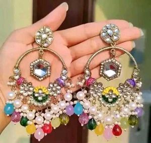 Big Heavy Multi Colour Earrings