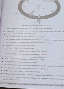 Diagram Book Of Zoology And Botany For Neet
