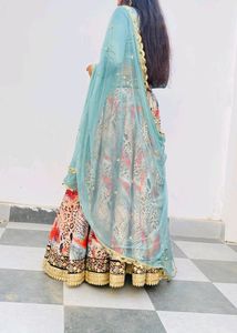 Holi Offer🎉Multi Tiger Print Lehenga Choli