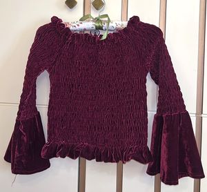 Burgundy Velvet Smocked Bell Sleeve Top