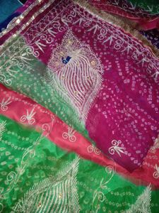 Rajputi Heavy Jari Design Poshak