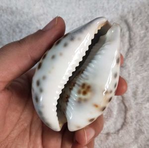 PAY FOR 2, GET 3 🩷🔥