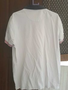 IZOD Polo Shirt