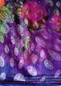Pure Chiffon Saree 2