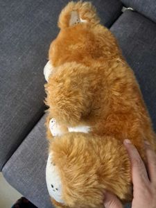 Teddy Bear Soft Toys