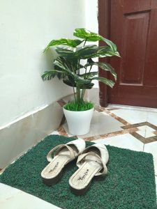White Washable Shoe