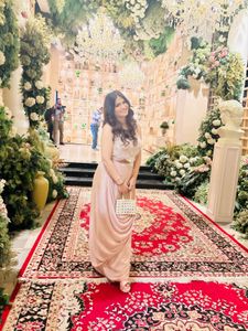 blush Pink ready to wear saree