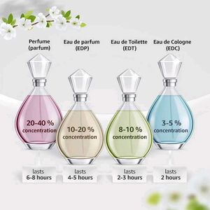 First Class Perfume