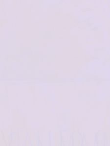 A Man Called Ove | Fiction