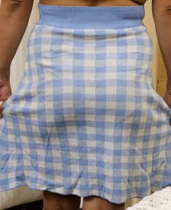 Blue Gingham Skirt