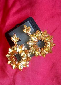 Statement Earrings