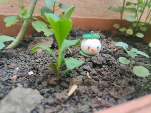Cute Sprouting Duckkkkkkk