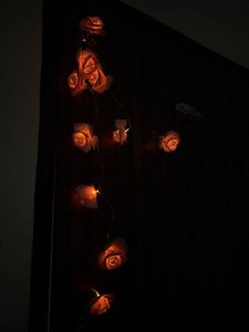 ROSE FAIRY LIGHTS
