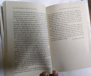 The Elephant And Th Cassowary By Ruskin Bond
