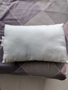 Animal Print Pillow
