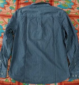 Striped Button-Down Shirt