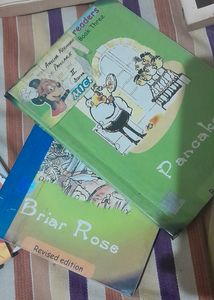 combo of 2 story books. Briar rose and pancake