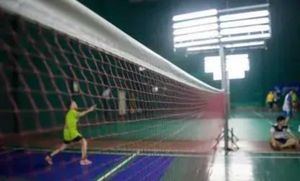 Badminton Net