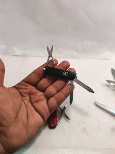 Victorinox Classic SD For 600 Each