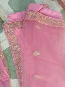 Pink Lehenga Choli