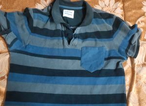 Striped Polo T-Shirt