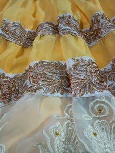 Embroidered Anarkali Dress/Gown