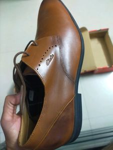 All New Formal Clarks Shoe For Men