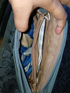 Caprese Hand Bag