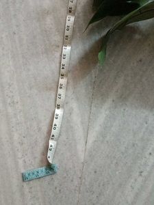 Artificial Plant with big leaves - 42 inches