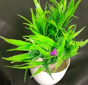 Plastic 🌿 For Home Decor Only 69 Rs.