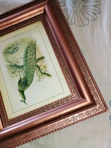 Framed Peacock Print🎉🎊🎊